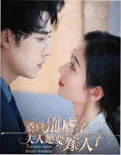秘密森林韩剧免费观看